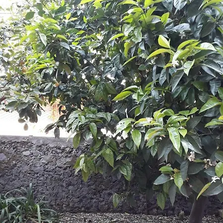 Semesterbostad Casa Delle Aci